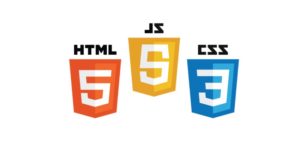 Learn HTML CSS Javascript